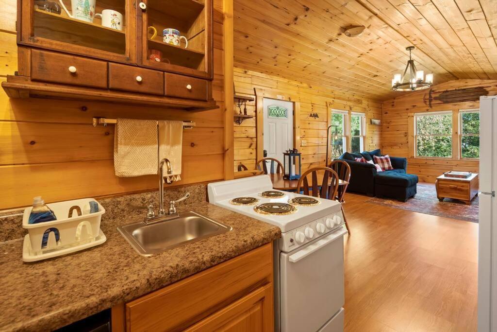 Dream Weaver Cabin Villa Candler ภายนอก รูปภาพ