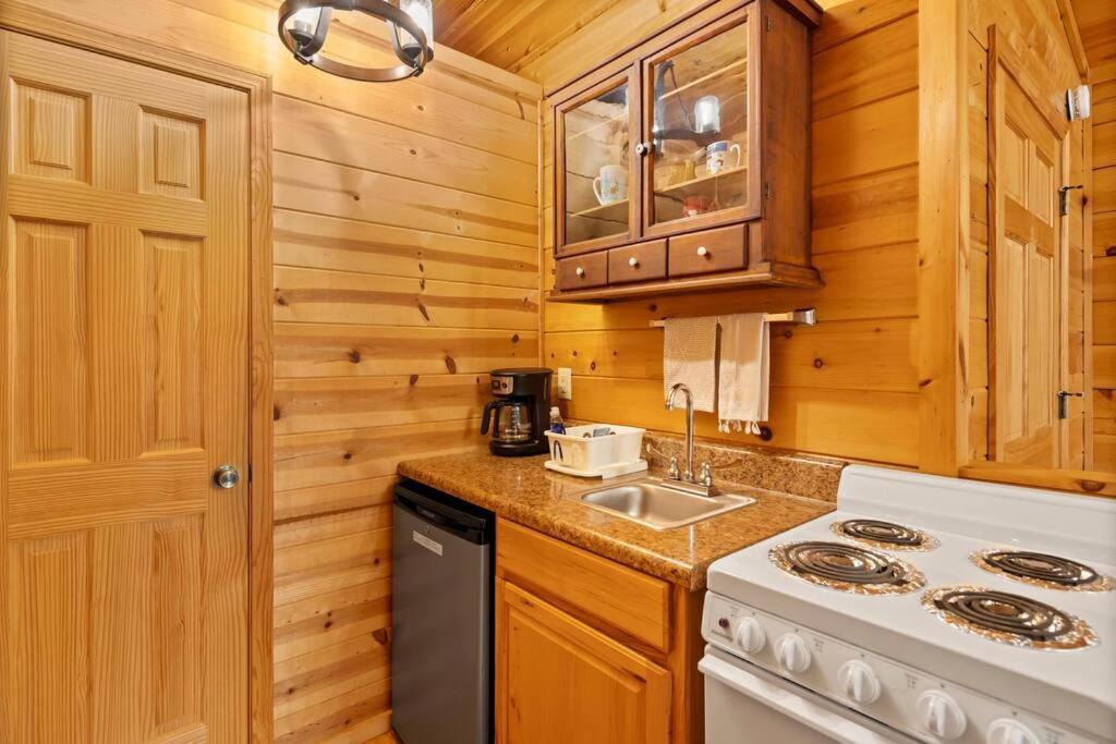 Dream Weaver Cabin Villa Candler ภายนอก รูปภาพ